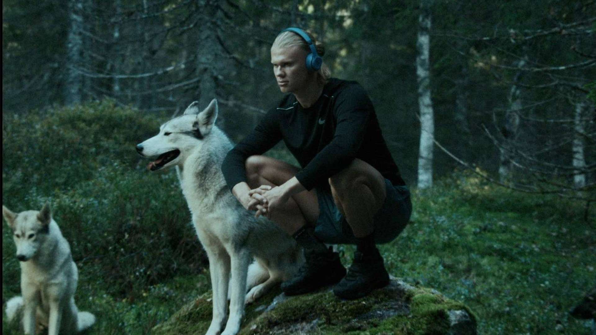 凡的球场视 凡的球场视